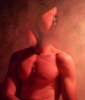 Untitled1231.png