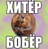a_422cd463.jpg
