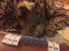 IMG-20171115-WA0027.jpg