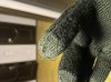 40F26580-0406-4661-A03A-27B6B50BA6E2.jpeg