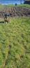Screenshot_20221002-000748-561.png