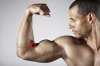 bigger-bicepsssw.jpg
