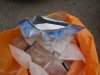 DSC01336.JPG